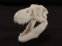 T-Rex Skull