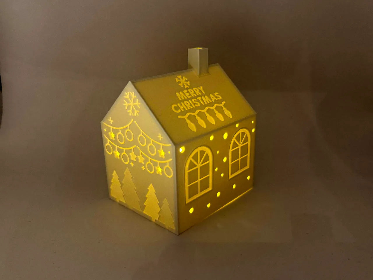 Christmas House Light Up